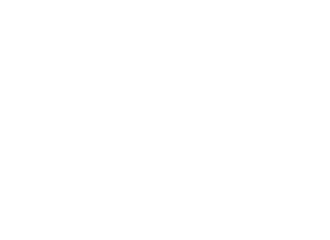 مسار القادة الشباب